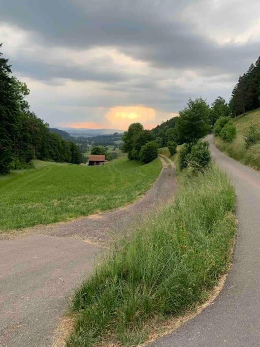 Charming Alps Apartment Perfect For Walk/Cycle/Ski Eschenbach Екстериор снимка
